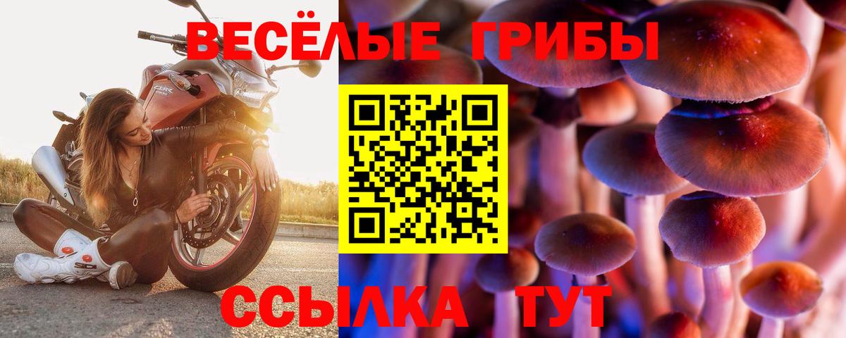 сколько стоит  Вход с VPN  Среднеуральск  Галлюциногенные грибы ЛСД 