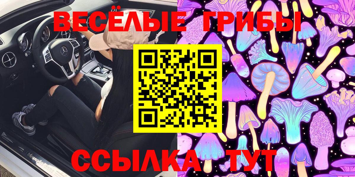 Псилоцибиновые грибы Psilocybe Среднеуральск